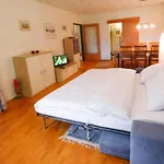 Lb5 Seeappartement Haus Landskron Mit Direktem Seezugang Am Ossiachersee