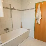Lb5 Seeappartement Haus Landskron Mit Direktem Seezugang Am Ossiachersee Апартаменты *