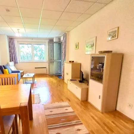 Lb5 Seeappartement Haus Landskron Mit Direktem Seezugang Am Ossiachersee * Annenheim