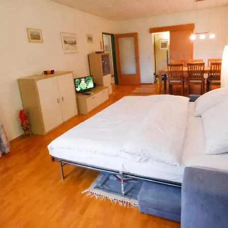 Lb5 Seeappartement Haus Landskron Mit Direktem Seezugang Am Ossiachersee