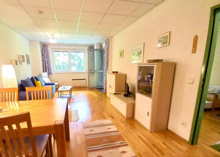 Lb5 Seeappartement Haus Landskron Mit Direktem Seezugang Am Ossiachersee * Annenheim